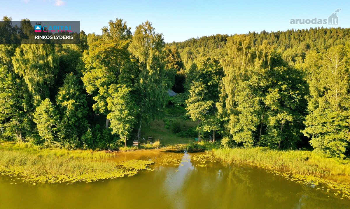 Išskirtinė 3,42 ha sodybvietė su beveik 500 m - nuotraukos Nr. 23