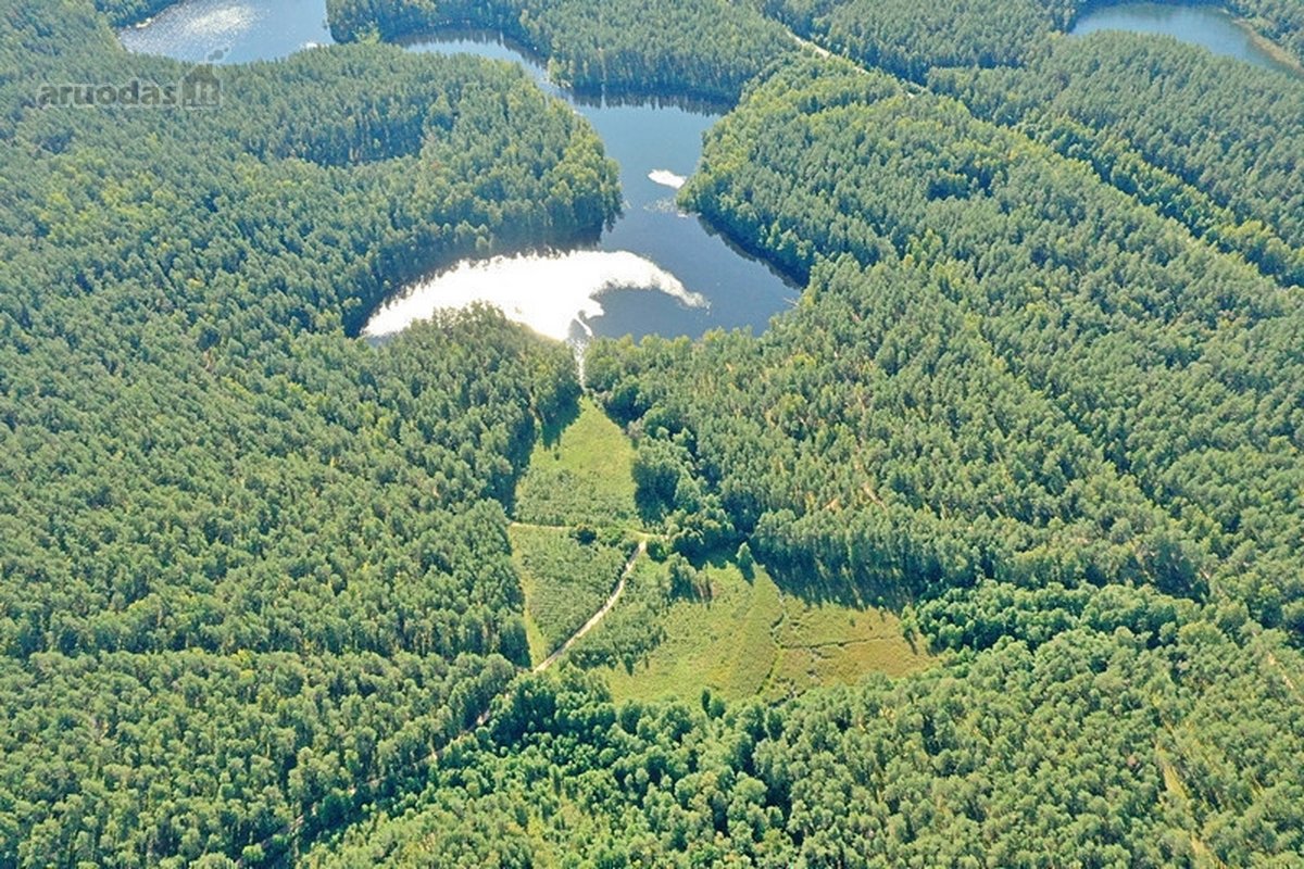 Parduodamas 15,2 ha ploto Trilypio ežeras ir - nuotraukos Nr. 4