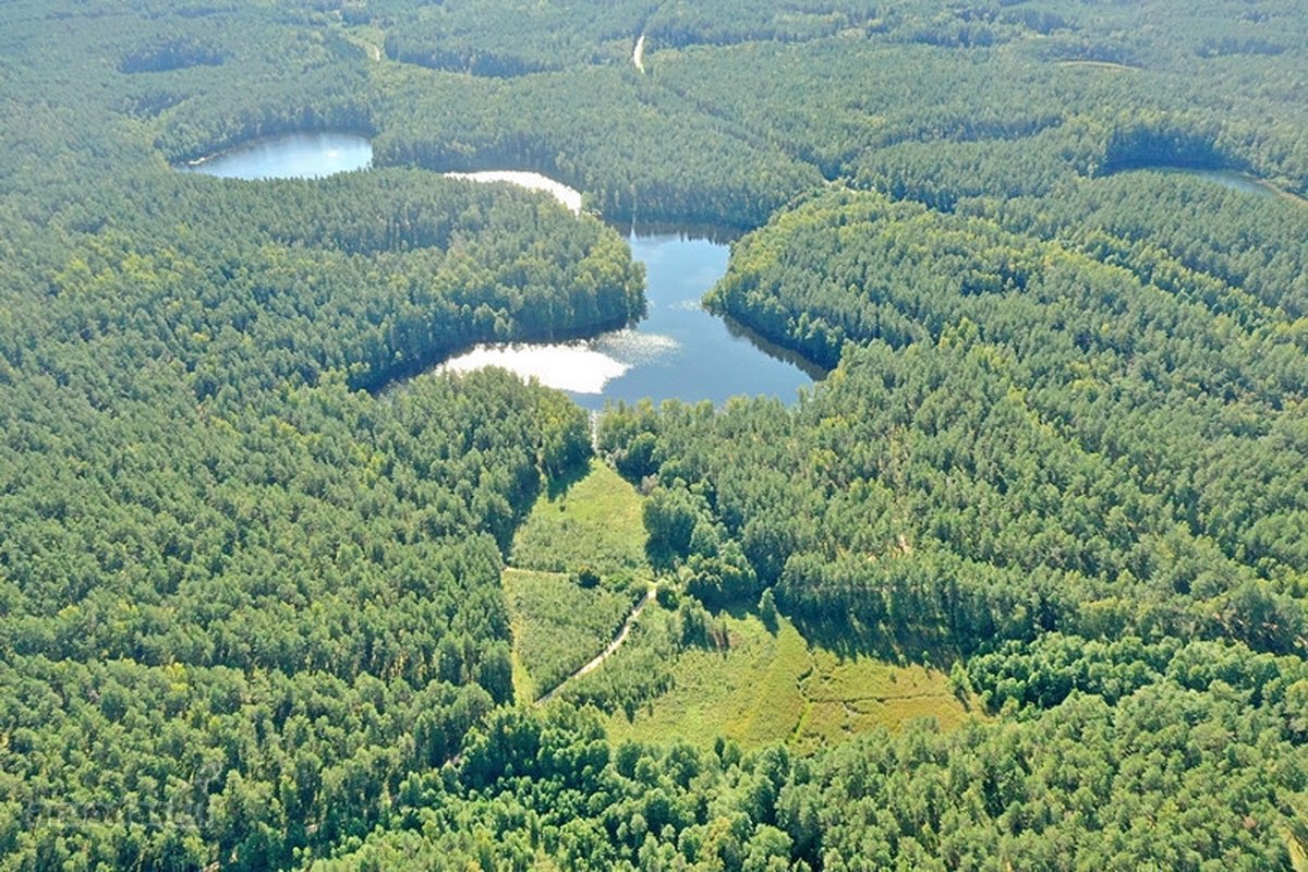 Parduodamas 15,2 ha ploto Trilypio ežeras ir - nuotraukos Nr. 8