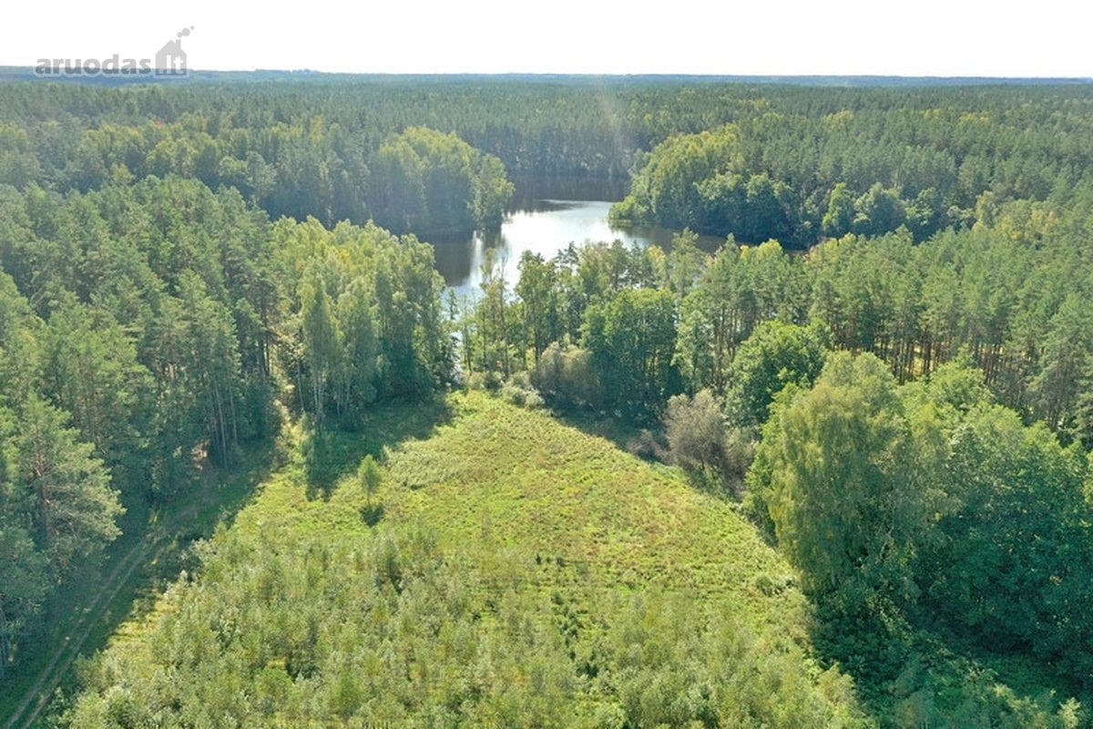 Parduodamas 15,2 ha ploto Trilypio ežeras ir - nuotraukos Nr. 15