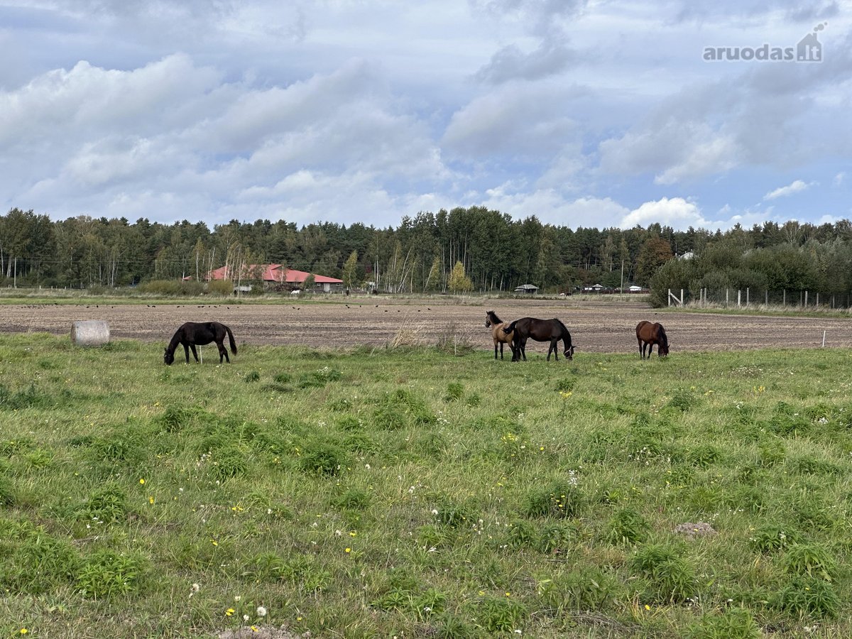 Keturių dvibučių projektas, Šlienavoje, Kauno - nuotraukos Nr. 21