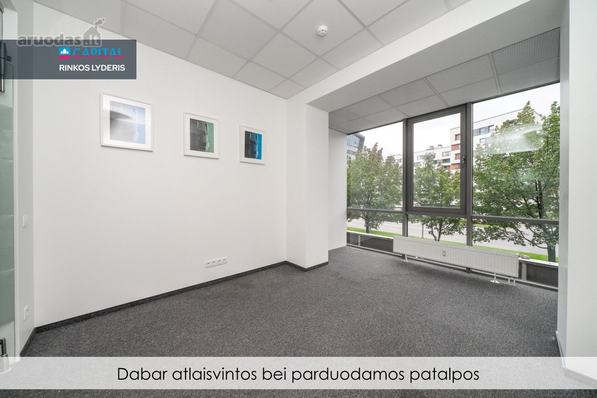 Parduodamos erdvios, įrengtos 177 kv.m - nuotraukos Nr. 13