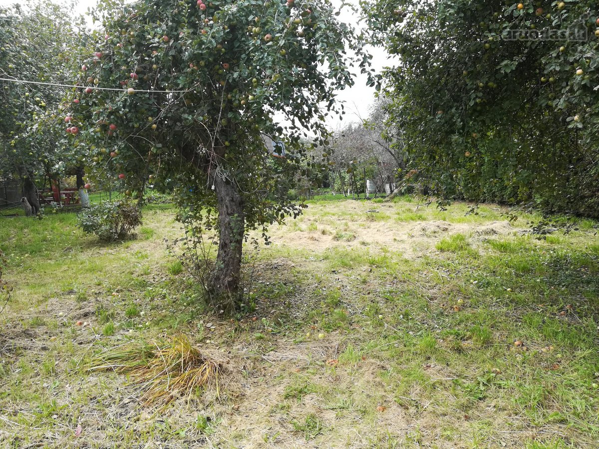 Parduodamas 6,15 a sodo sklypas su nameliu ir - nuotraukos Nr. 4
