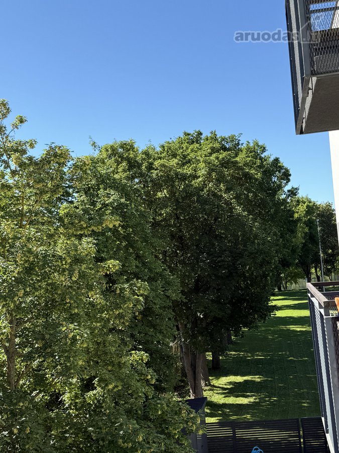 Nuomojamas jaukus ir erdvus, dviejų kambarių - nuotraukos Nr. 10