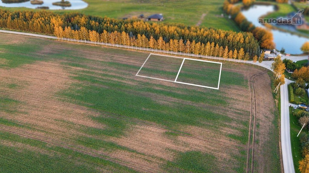 Du Sklypai Šalia Sklandytojų Kalvos – Gamta - nuotraukos Nr. 2