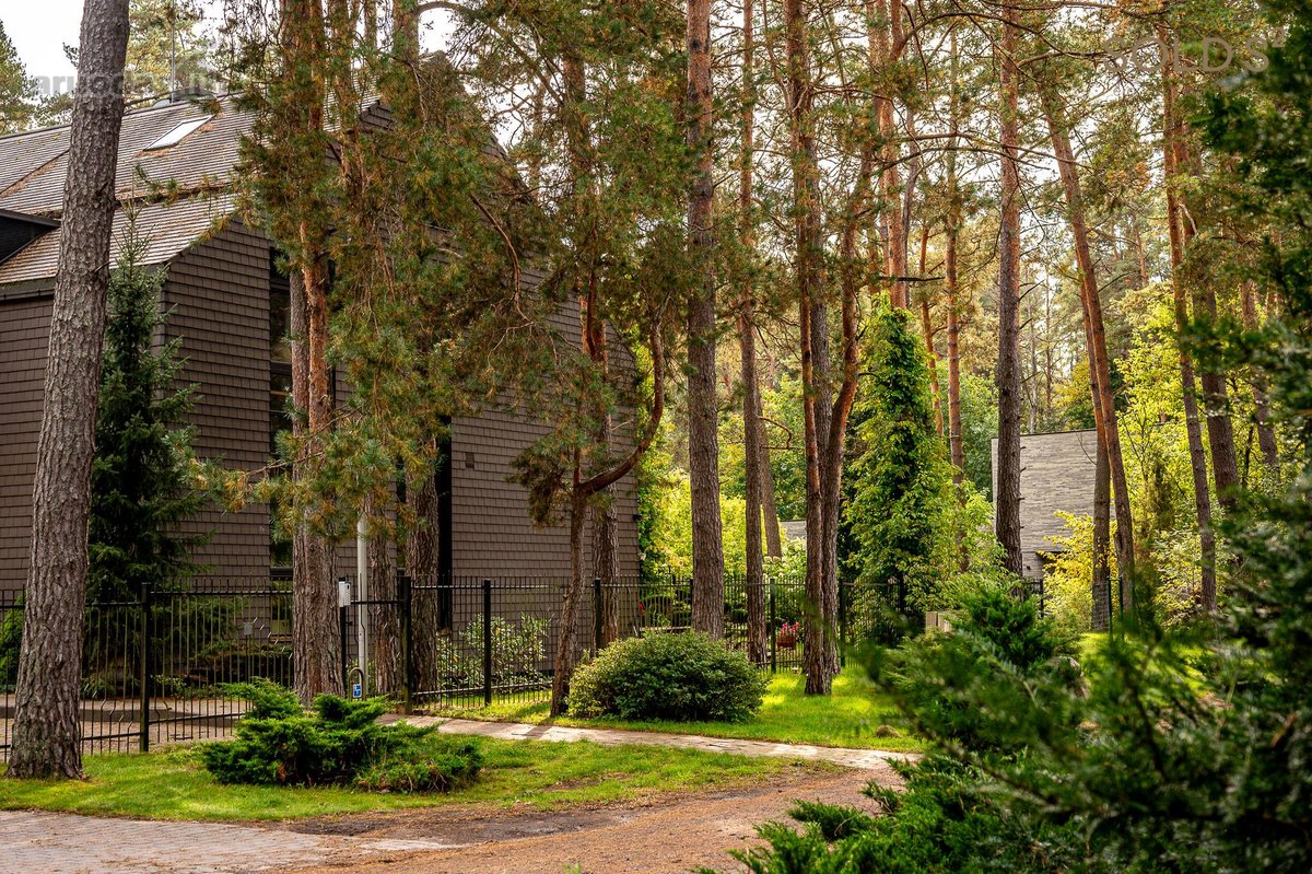 Darniai į gamtą įsiliejęs ir puikiai - nuotraukos Nr. 36