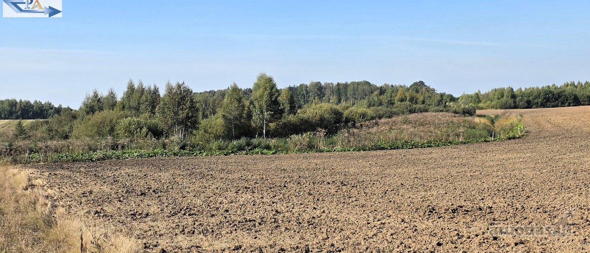 Parduodamas 6,58 ha žemes sklypas Kauno r. - nuotraukos Nr. 2