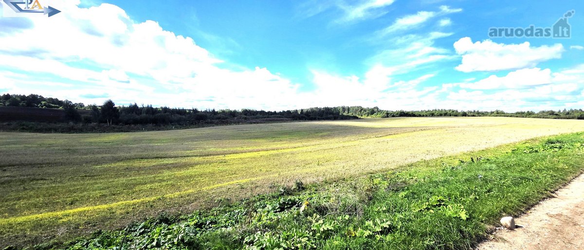 Parduodamas 6,58 ha žemes sklypas Kauno r. - nuotraukos Nr. 3