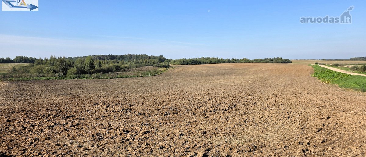 Parduodamas 6,58 ha žemes sklypas Kauno r. - nuotraukos Nr. 4