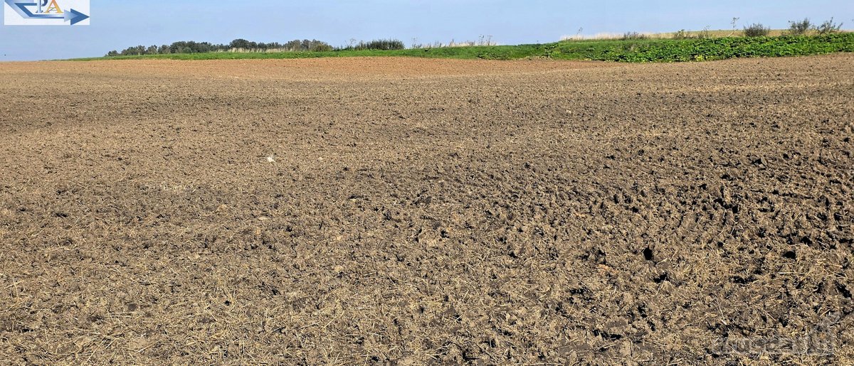 Parduodamas 6,58 ha žemes sklypas Kauno r. - nuotraukos Nr. 6