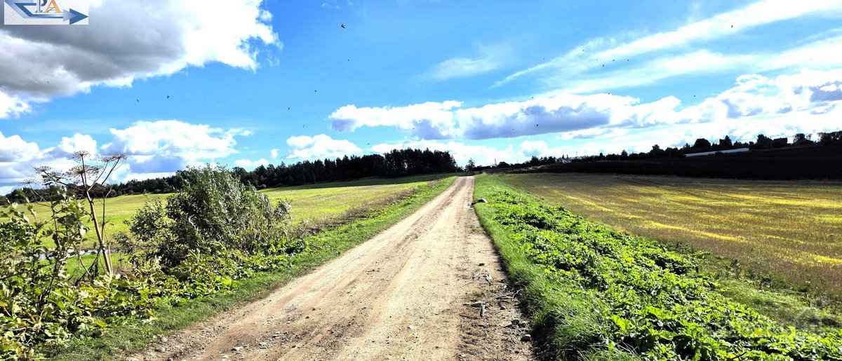 Parduodamas 6,58 ha žemes sklypas Kauno r. - nuotraukos Nr. 7