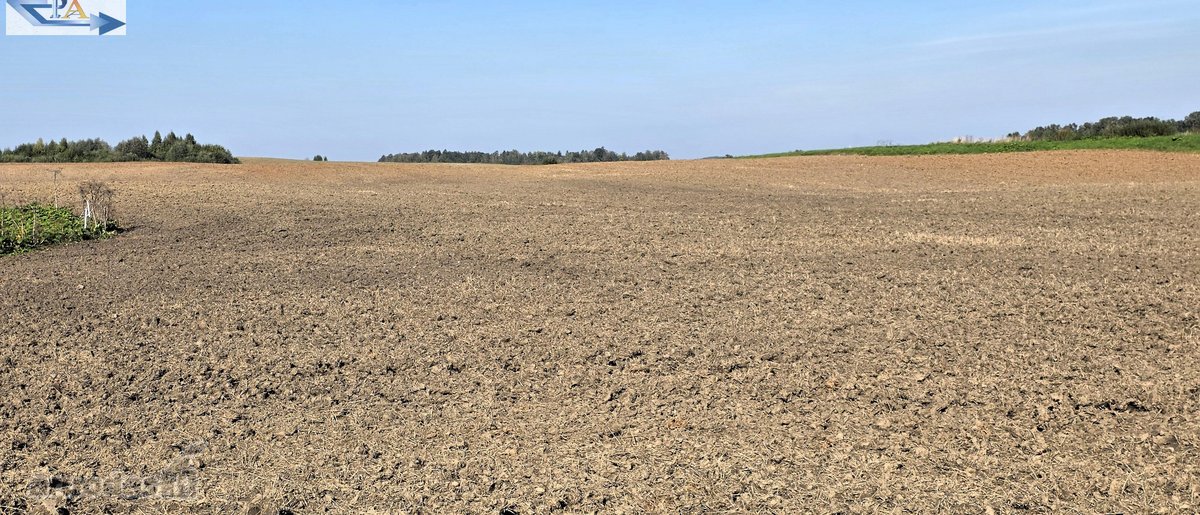 Parduodamas 6,58 ha žemes sklypas Kauno r. - nuotraukos Nr. 8