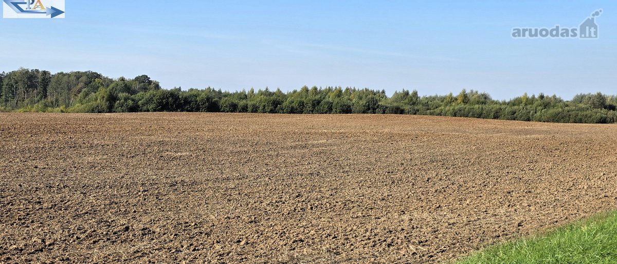 Parduodamas 6,58 ha žemes sklypas Kauno r. - nuotraukos Nr. 10