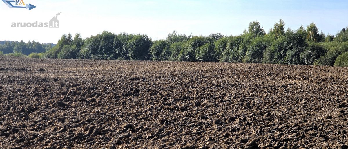 Parduodamas 6,58 ha žemes sklypas Kauno r. - nuotraukos Nr. 11