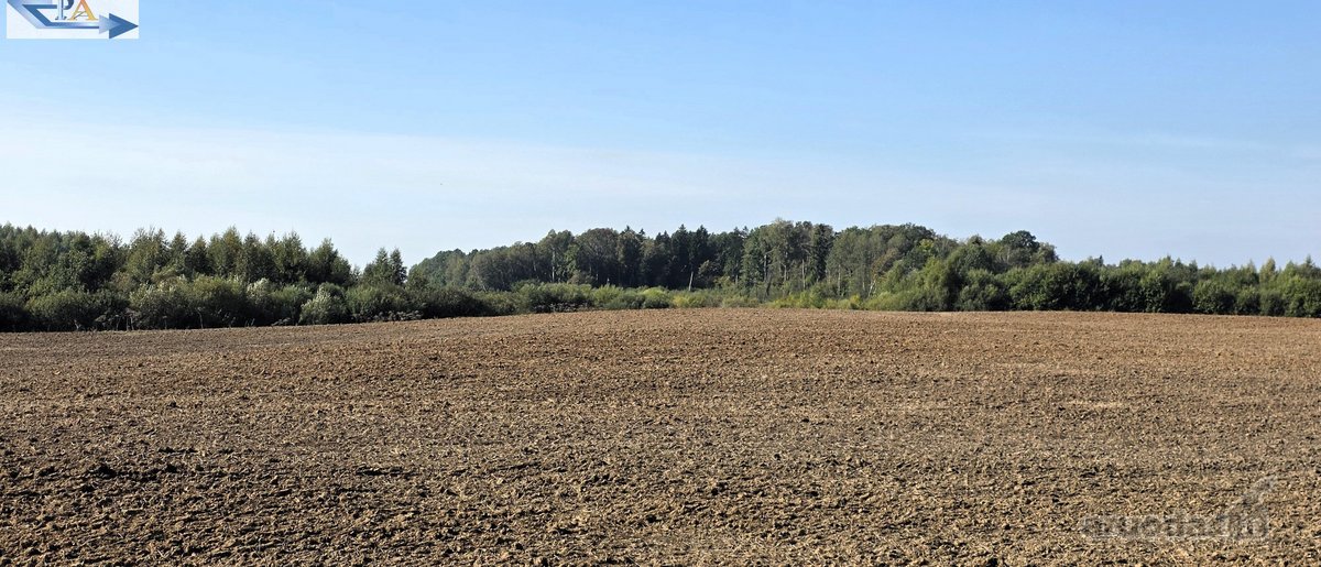 Parduodamas 6,58 ha žemes sklypas Kauno r. - nuotraukos Nr. 12