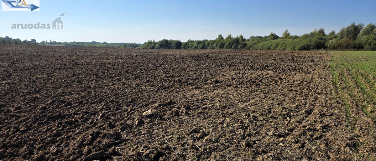 Parduodamas 6,58 ha žemes sklypas Kauno r. - nuotraukos Nr. 13