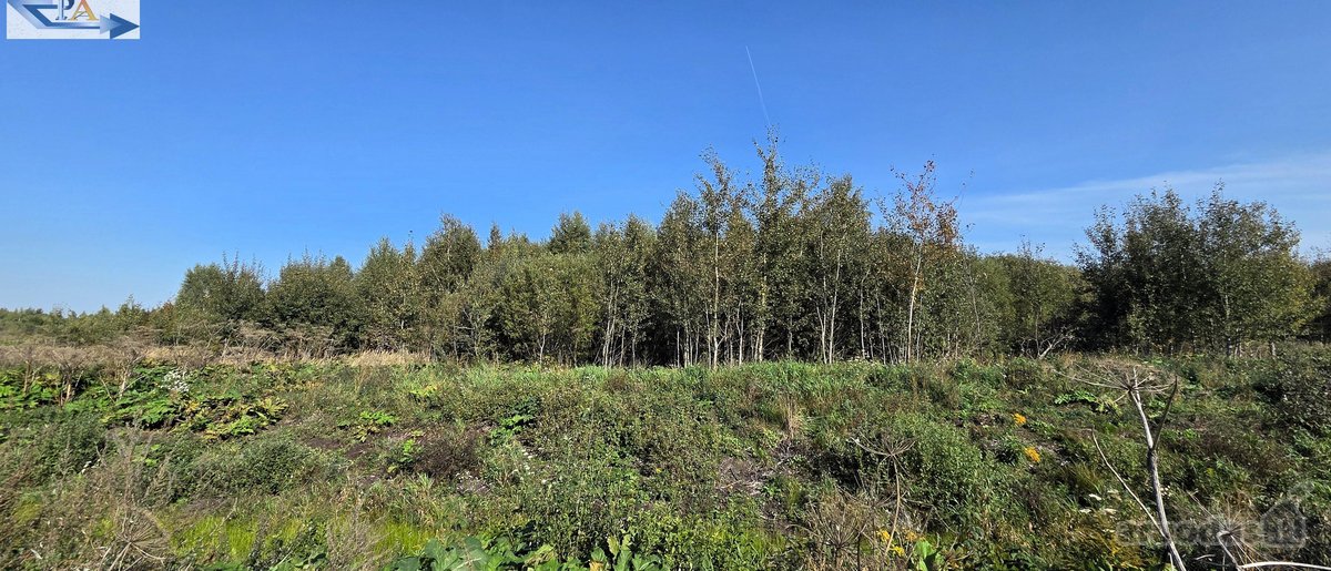 Parduodamas 6,58 ha žemes sklypas Kauno r. - nuotraukos Nr. 15