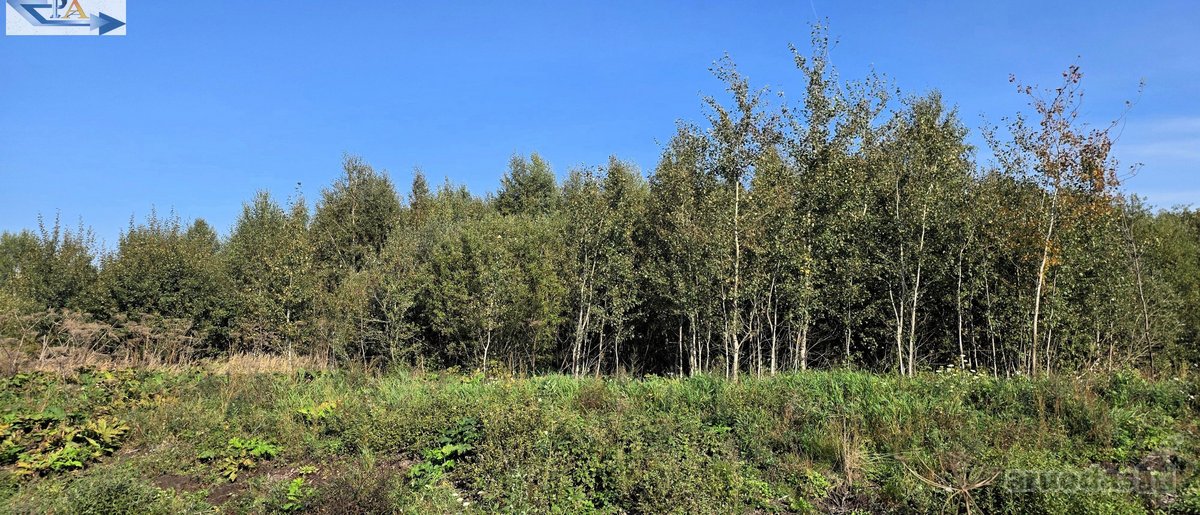 Parduodamas 6,58 ha žemes sklypas Kauno r. - nuotraukos Nr. 16