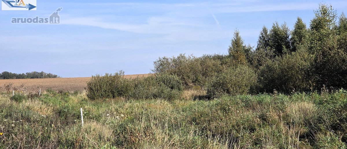 Parduodamas 6,58 ha žemes sklypas Kauno r. - nuotraukos Nr. 17