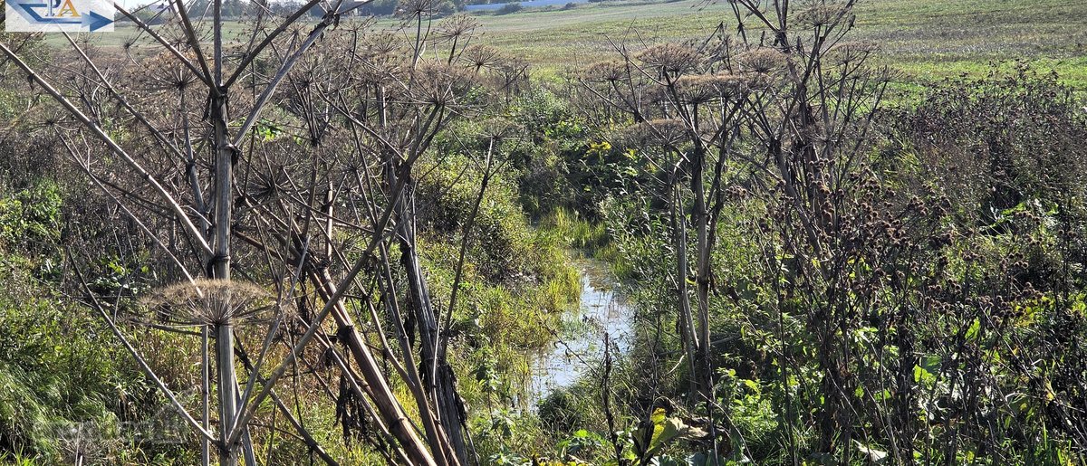 Parduodamas 6,58 ha žemes sklypas Kauno r. - nuotraukos Nr. 18