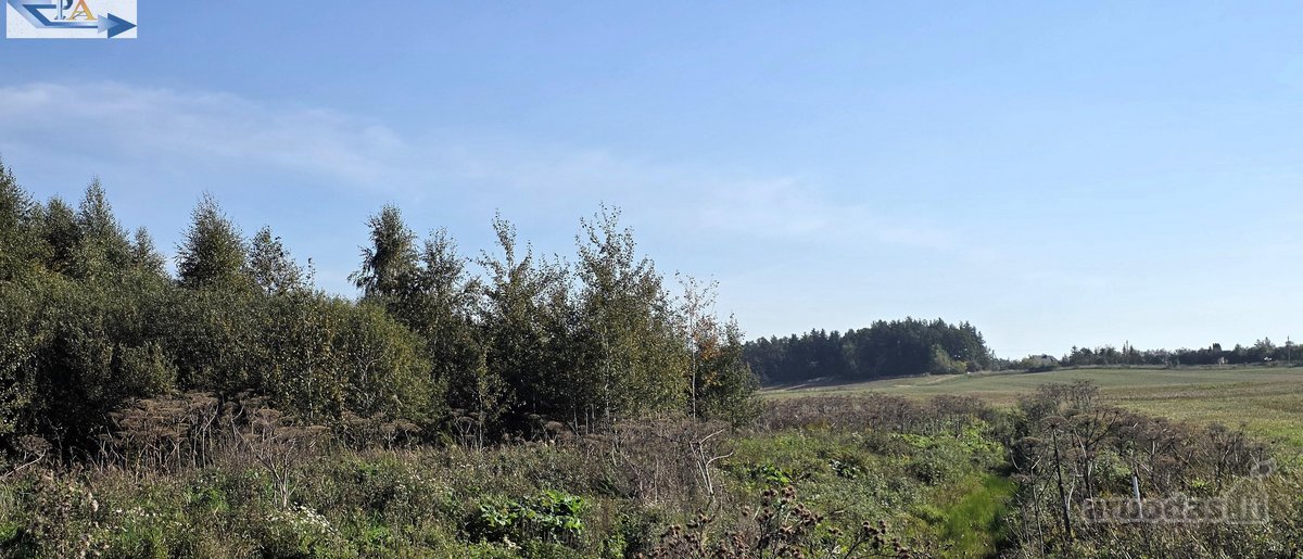 Parduodamas 6,58 ha žemes sklypas Kauno r. - nuotraukos Nr. 19