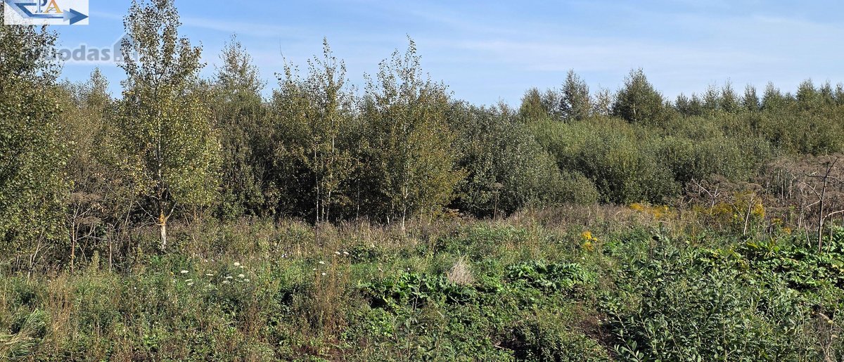 Parduodamas 6,58 ha žemes sklypas Kauno r. - nuotraukos Nr. 20