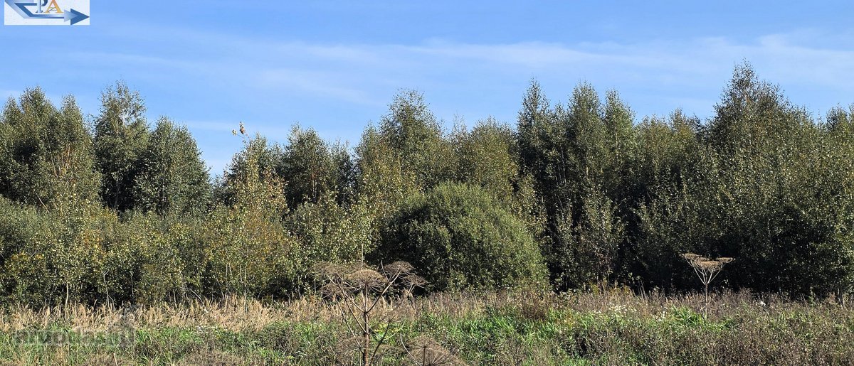 Parduodamas 6,58 ha žemes sklypas Kauno r. - nuotraukos Nr. 21