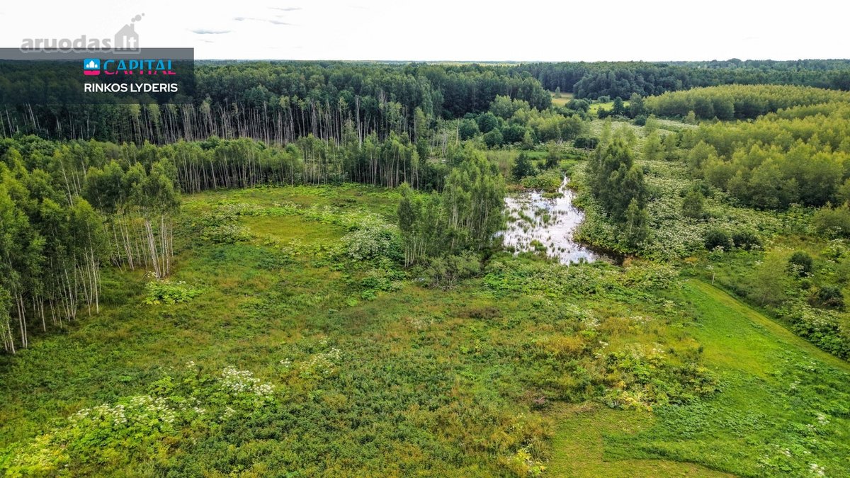 Autentiška Privati Sodyba Su 3,58 Ha Žemės, - nuotraukos Nr. 12