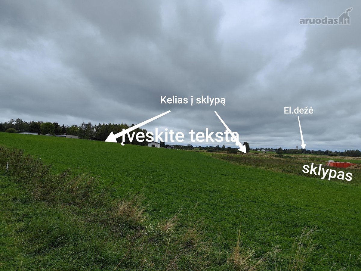 : - nuotraukos Nr. 2