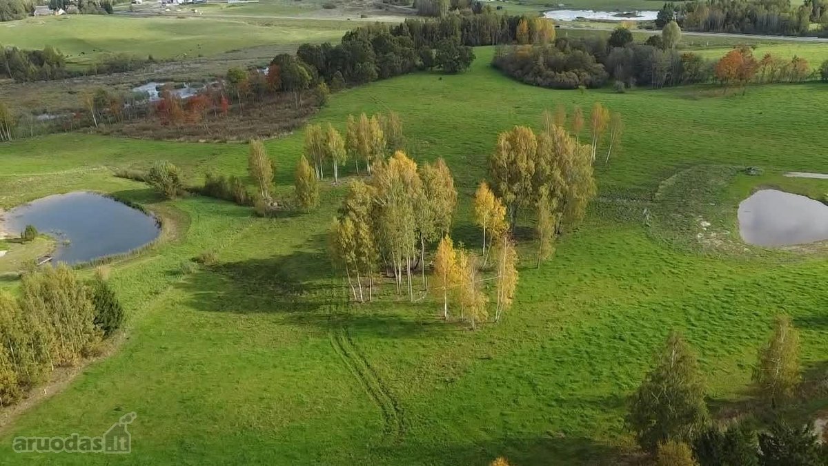 Parduodamas 5,6059 Ha Žemės Sklypas Šalia Utenos - nuotraukos Nr. 6