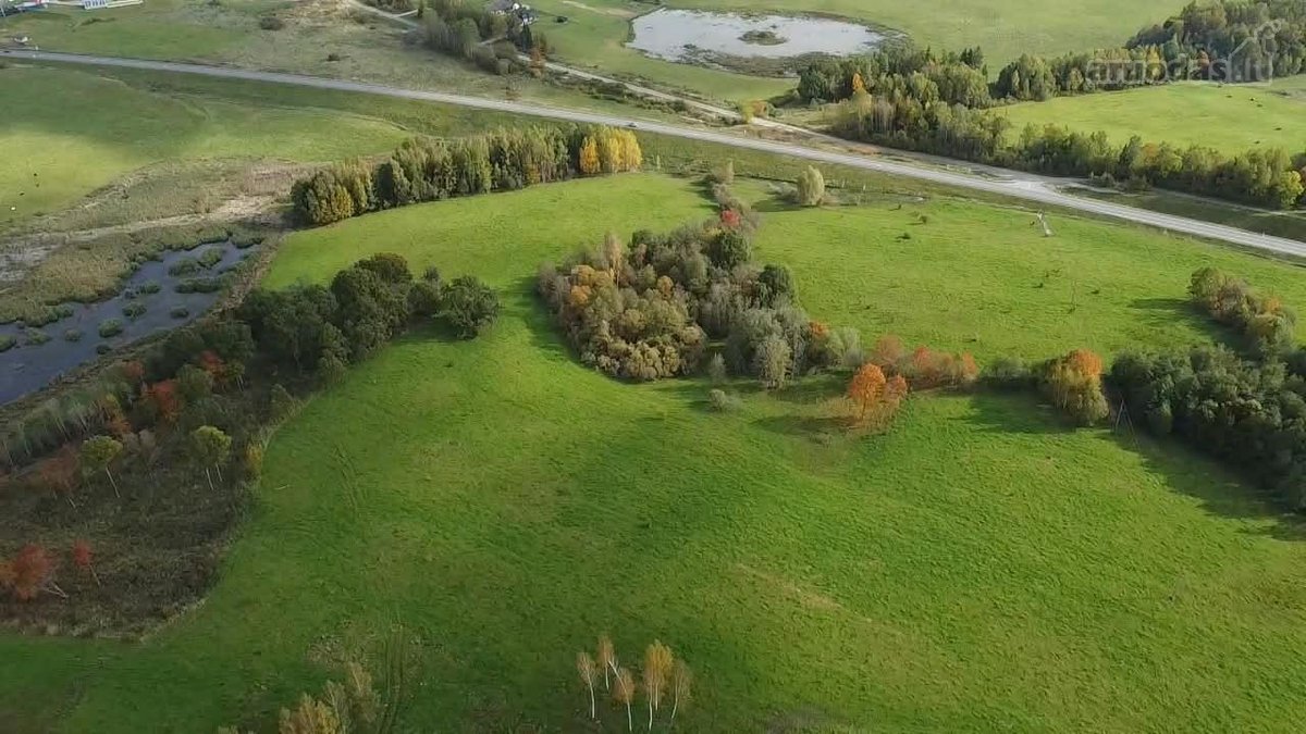Parduodamas 5,6059 Ha Žemės Sklypas Šalia Utenos - nuotraukos Nr. 8