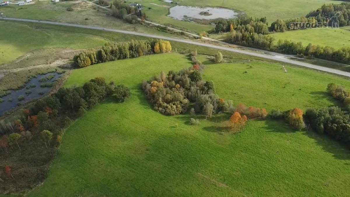 Parduodamas 5,6059 Ha Žemės Sklypas Šalia Utenos - nuotraukos Nr. 11