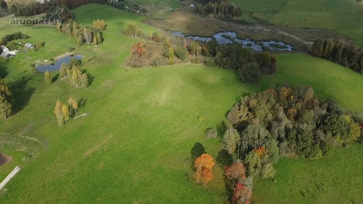 Parduodamas 5,6059 Ha Žemės Sklypas Šalia Utenos - nuotraukos Nr. 13