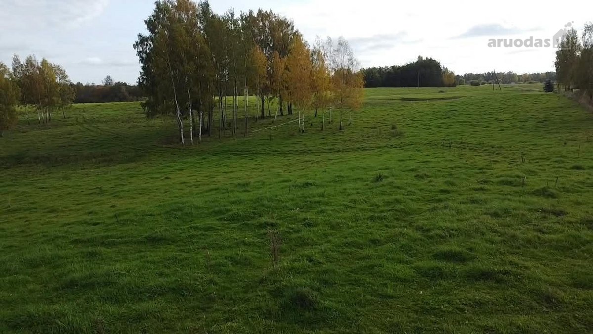 Parduodamas 5,6059 Ha Žemės Sklypas Šalia Utenos - nuotraukos Nr. 17