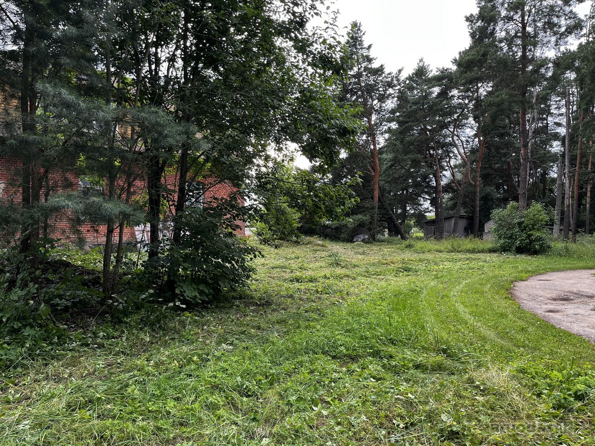 493 m² pastatas + 38 a sklypas, 8 km nuo - nuotraukos Nr. 6