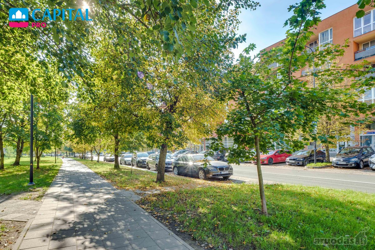Nuomojamas Jaukus Ir Tvarkingas 3 Kambarių - nuotraukos Nr. 22