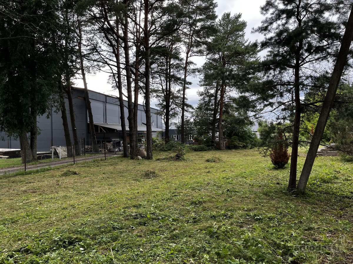 493 m² pastatas + 38 a sklypas, 8 km nuo - nuotraukos Nr. 12
