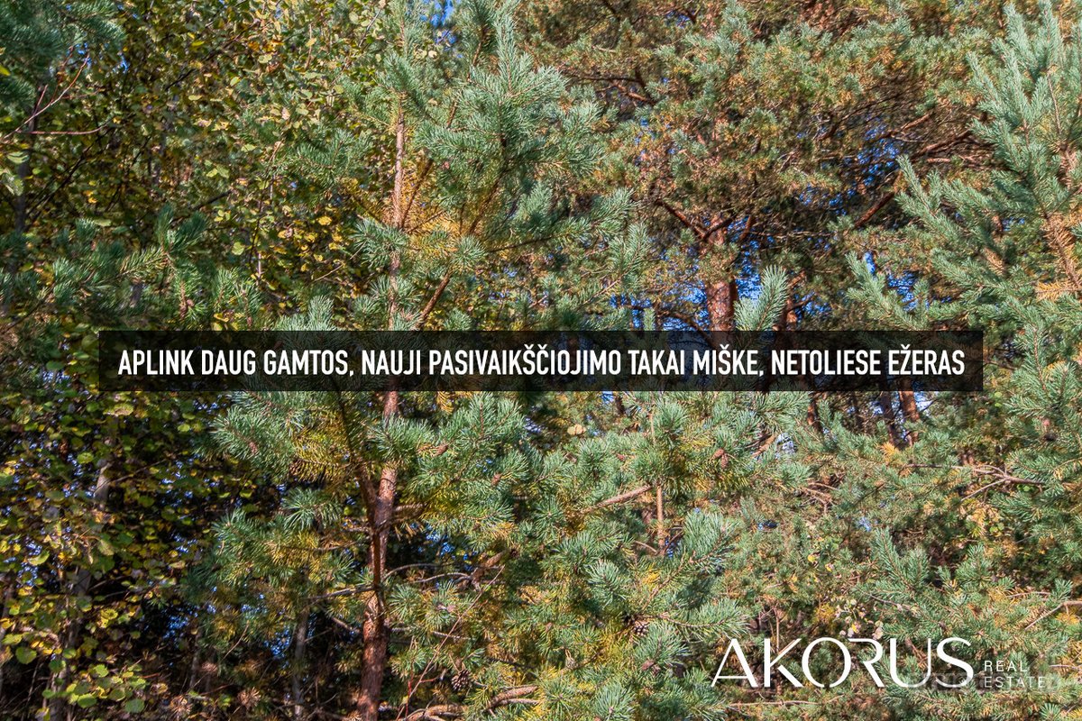 Verta Žinoti - nuotraukos Nr. 25