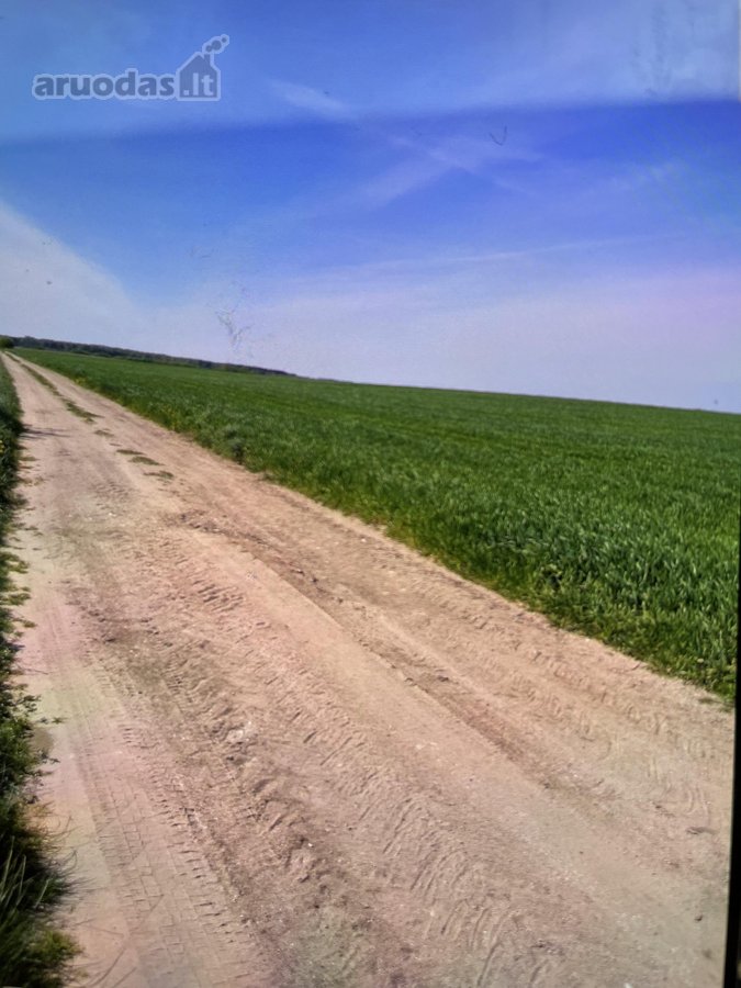 Parduodamas 12,84ha žemės ūkio paskirties - nuotraukos Nr. 2