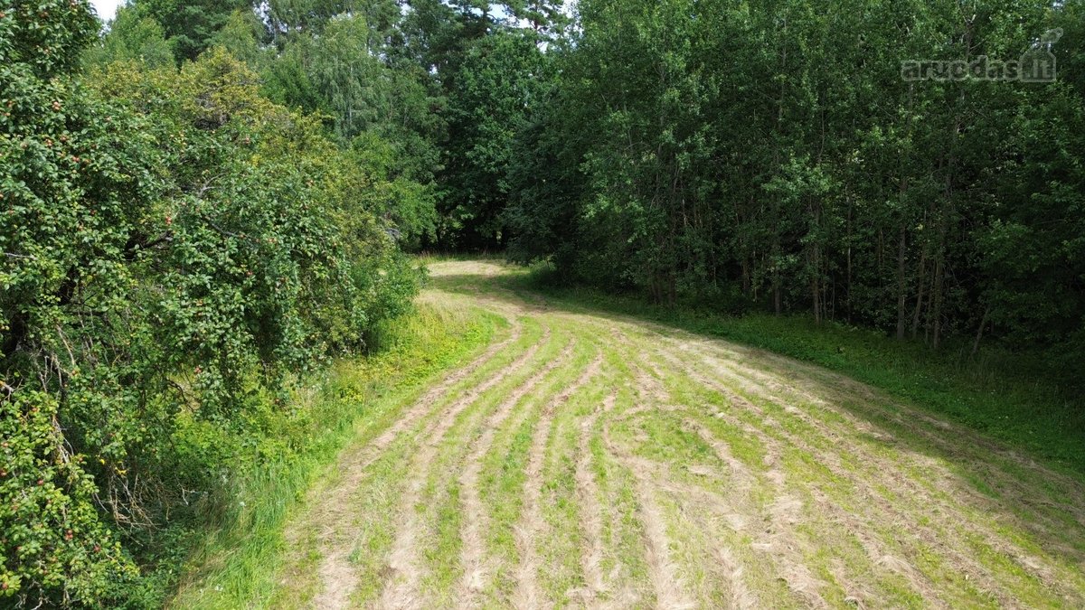 Parduodamas 1,05 Ha Žemės Ūkio Paskirties - nuotraukos Nr. 6