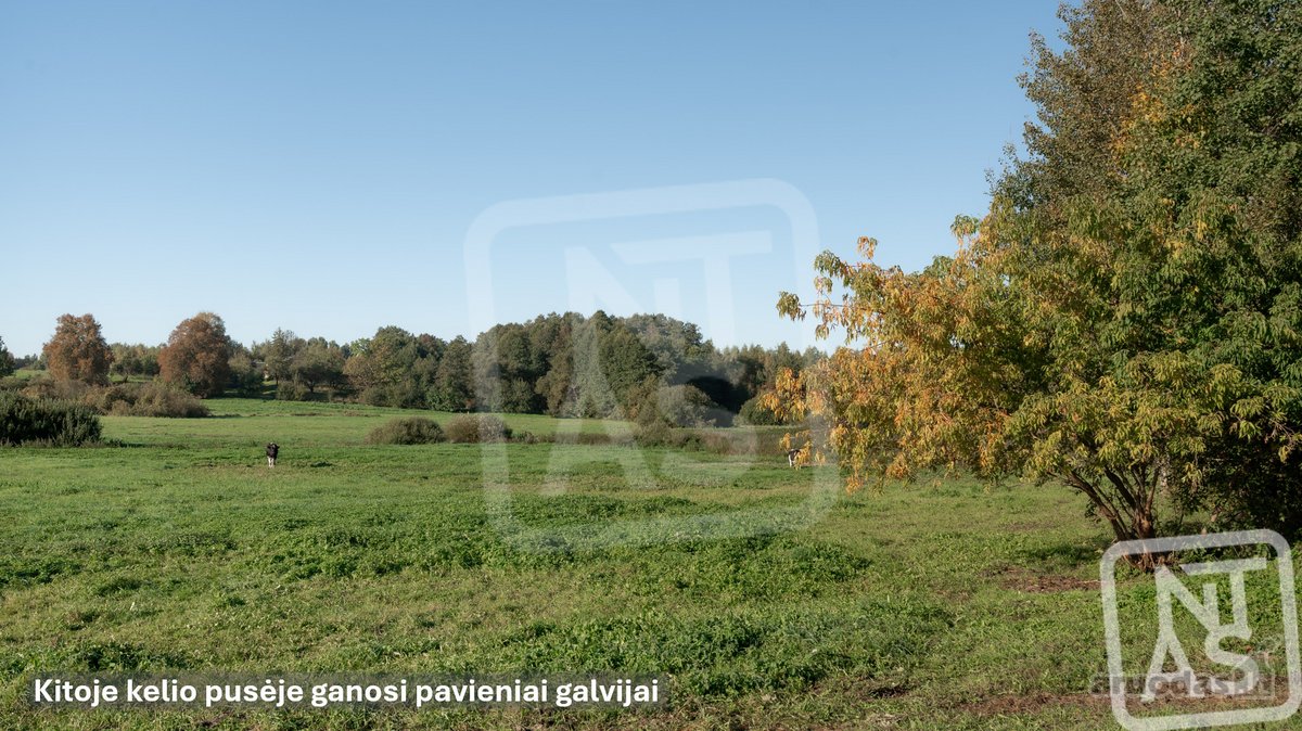 Parduodamas 2 Ha Sklypas Idealiai Tinkantis - nuotraukos Nr. 21