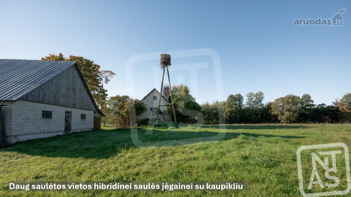 Parduodamas 2 Ha Sklypas Idealiai Tinkantis - nuotraukos Nr. 5