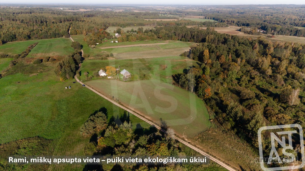 Parduodamas 2 Ha Sklypas Idealiai Tinkantis - nuotraukos Nr. 11