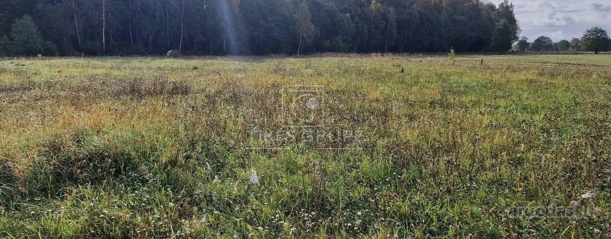 70 a gyvenamosios paskirties sklypas - nuotraukos Nr. 3