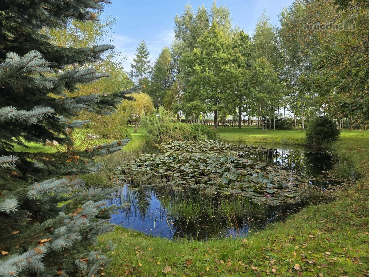 Parduodama erdvi, išpuoselėta sodyba „intynė“ - nuotraukos Nr. 10
