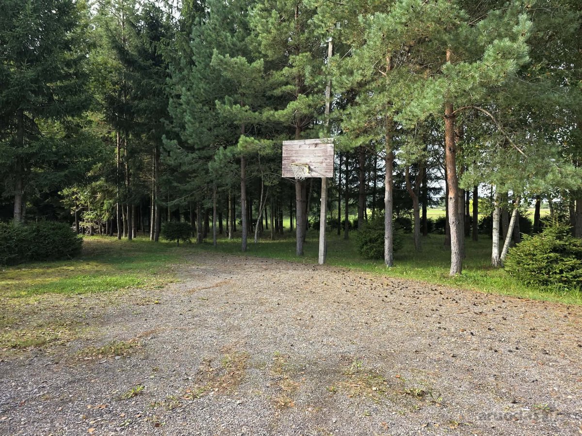 Parduodama erdvi, išpuoselėta sodyba „intynė“ - nuotraukos Nr. 15