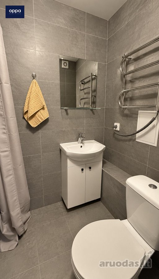Nuomojamas 1 Kambario Butas Pelėšos G., - nuotraukos Nr. 5