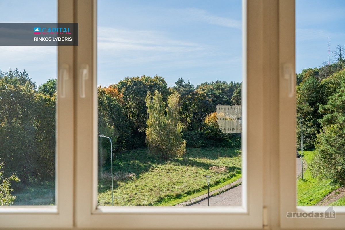 Nuomojamas Erdvus Ir Išskirtinis 3 Kambarių - nuotraukos Nr. 25