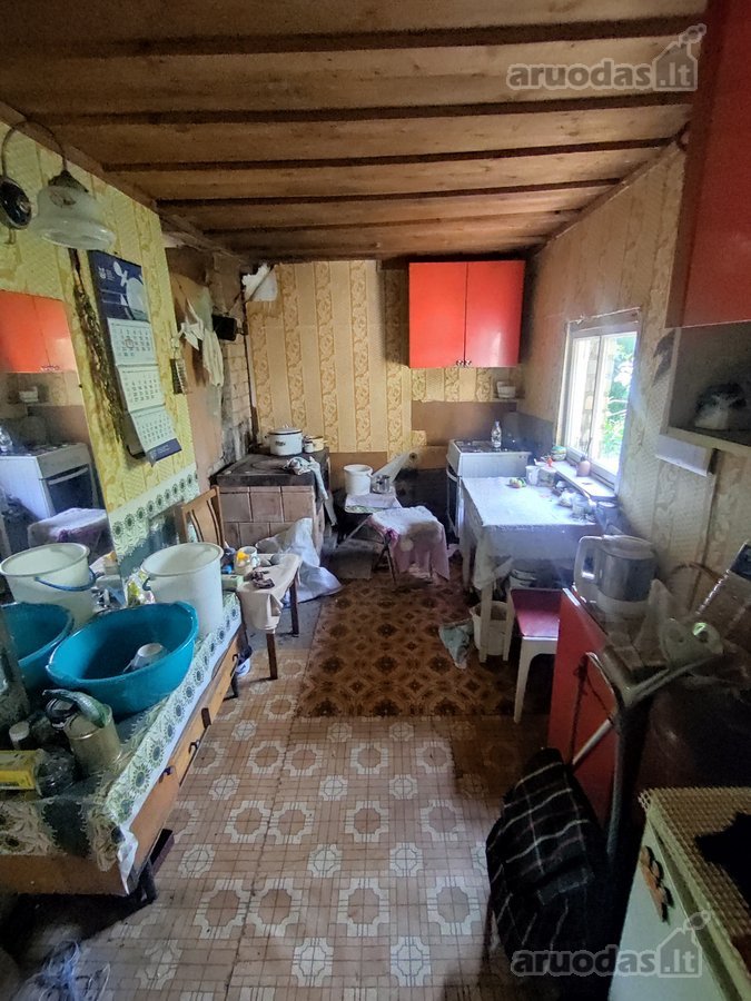 Vaiteliuose Šalpusnių ramioje gatvėje - nuotraukos Nr. 9