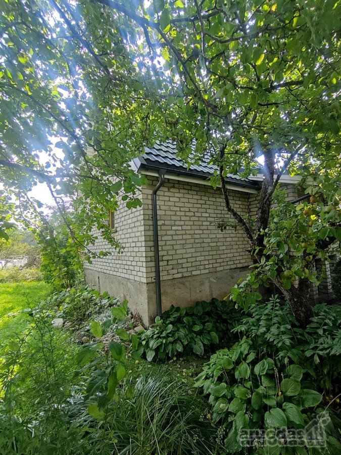 Vaiteliuose Šalpusnių ramioje gatvėje - nuotraukos Nr. 12